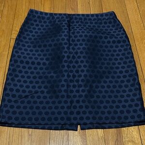 The Pencil Skirt Navy Lined Polka Dot Skirt size 6